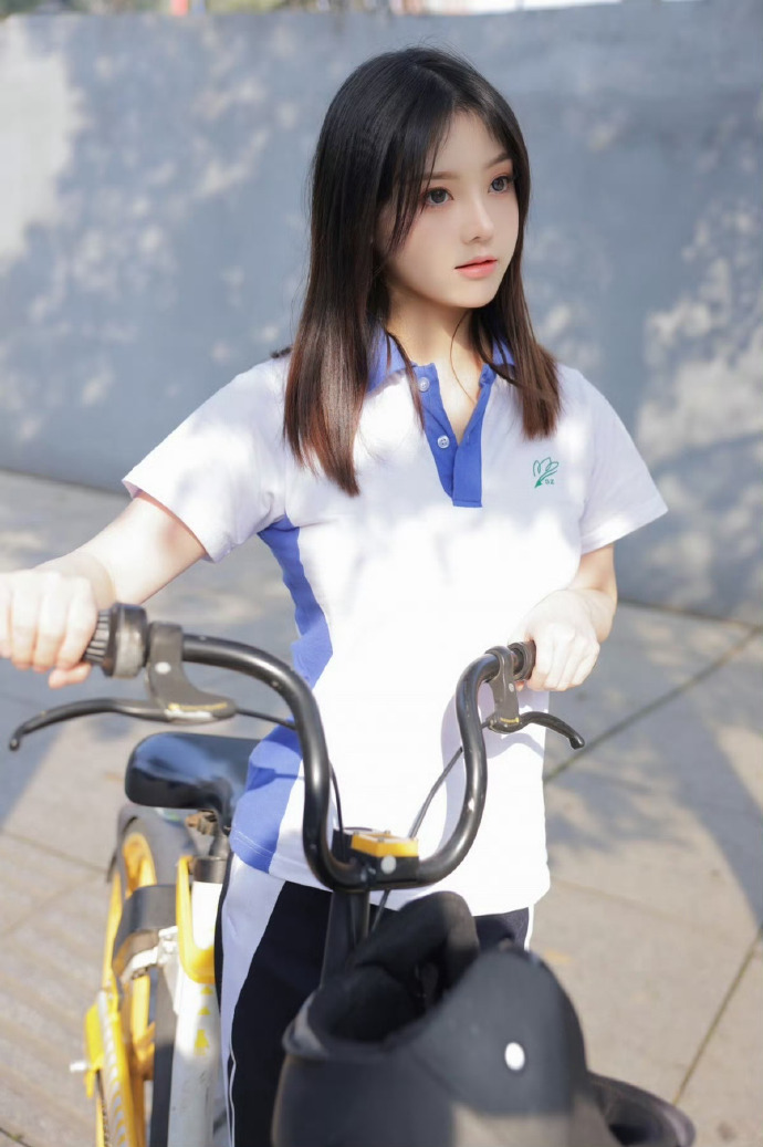 走向共和 封面